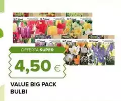 Value Big Pack