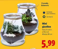 Mini Giardino