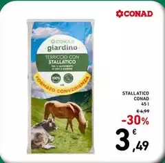 Conad - Stallatico