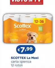 Scottex - La Maxi