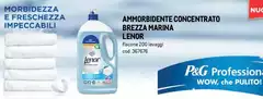 Lenor - Ammorbidente Concentrato Brezza Marina Lenor - Ammorbidente Concentrato Brezza Marina
