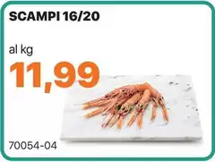 Scampi 16/20 Scampi 16/20