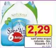 Sant'anna - Acqua Naturale-liev. Frizzante