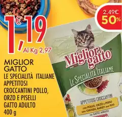 Morando - Miglior Gatto