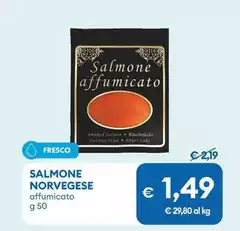 Salmone Norvegese