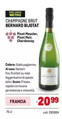 Brut -  Bernard Bijotat