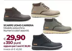 Carrera - Scarpe Uomo