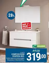 Composizione Sospesa Iris