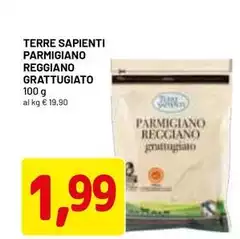 Terre sapienti - Parmigiano Reggiano Grattugiato