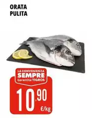 Orata Pulita