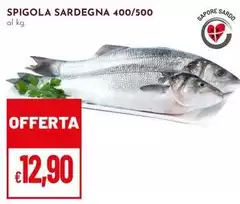 Spigola Sardegna
