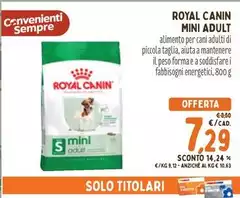 Royal Canin - Mini Adult
