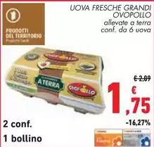 Ovopollo - Uova Fresche Grandi