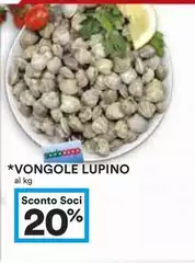 Vongole Lupino