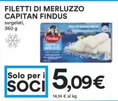 Capitan Findus - Filetti Di Merluzzo