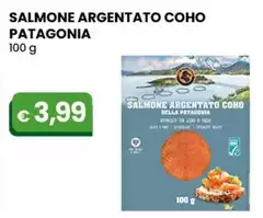 Patagonia - Salmone Argentato Coho 100 G