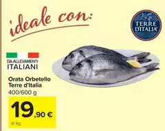 Terre d'Italia - Orata Olt Italia