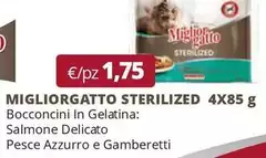 Morando - Miglior Gatto Sterilized Morando - Miglior Gatto Sterilized