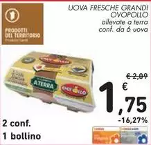 Ovopollo - Uova Fresche Grandi