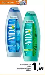Vidal - Bagnodoccia