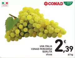 Conad - Uva Italia Percorso Qualità