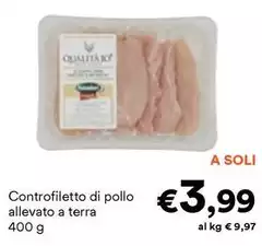 Controfiletto Di Pollo Allevato A Terra