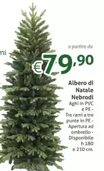 Albero Di Natale Nebrodi Albero Di Natale Nebrodi