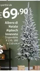 Albero Di Natale Alpbach Innevato Albero Di Natale Alpbach Innevato