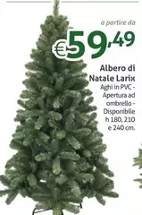 Albero Di Natale Larix Albero Di Natale Larix