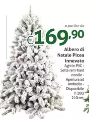 Albero Di Natale Picea Innevato Albero Di Natale Picea Innevato