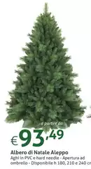 Albero Di Natale Aleppo Albero Di Natale Aleppo