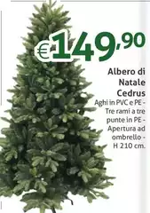 Albero Di Natale Cedrus Albero Di Natale Cedrus