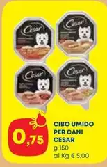 Cesar - Cibo Umido Per Cani Cesar - Cibo Umido Per Cani