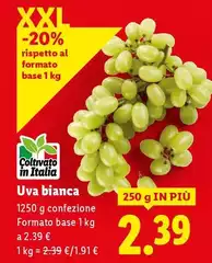 Uva Bianca