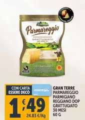 Granterre - Parmareggio Parmigiano Reggiano DOP Grattugiato 30 Mesi