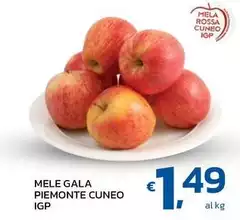 Mele Gala Piemonte Cuneo IGP