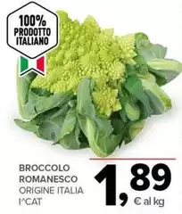 Broccolo Romanesco Broccolo Romanesco