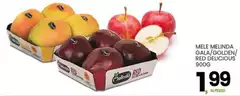 Melinda - Mele  Gala/ Golden/ Red Delicious
