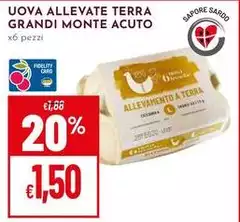 Monte Acuto - Uova Allevate Terra