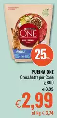 Purina - One Crocchette Per Cane Purina - One Crocchette Per Cane