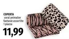 Coral - Coperta