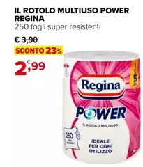 Regina - Il Rotolo Multiuso Power Regina - Il Rotolo Multiuso Power