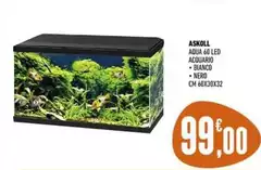 Askoll - Agua 60 Led Acquario