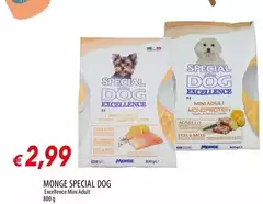 Monge - Special Dog