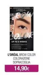 L'Oreal - Brow Colorazione L'Oreal - Brow Colorazione