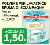 Spuma di Sciampagna - Polvere Per Lavatrice Spuma di Sciampagna - Polvere Per Lavatrice