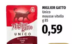 Morando - Miglior Gatto Morando - Miglior Gatto