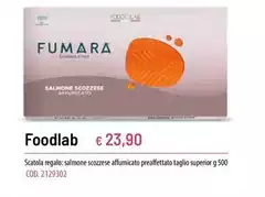Fumara - Foodlab Fumara - Foodlab