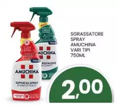 Amuchina - Sgrassatore Spray