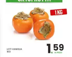 Loti Vaniglia Loti Vaniglia